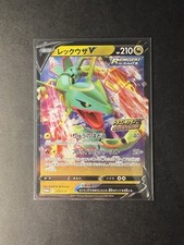Rayquaza 210 get gebraucht kaufen  Bockenem