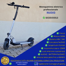 Professionale monopattino elet usato  San Severino Marche