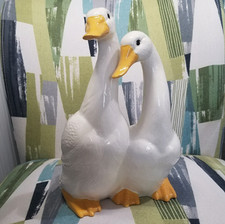 Sweet duck geese for sale  Fresno