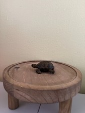 Schleich russian tortoise for sale  Hillside