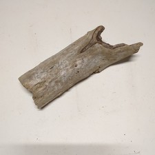 Driftwood piece terrarium for sale  TAUNTON
