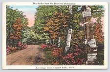 Crystal falls michigan for sale  Newton