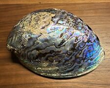 Perlmutt muschel seeopal gebraucht kaufen  Rösrath
