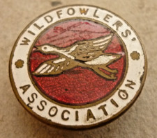 Vintage enamel badge for sale  WATERLOOVILLE