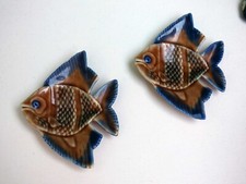 Wade angel fish for sale  TRURO