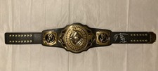 Jeff hardy signed for sale  Milwaukee