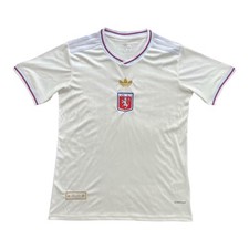 Maillot 2024 2025 d'occasion  Saint-Apollinaire