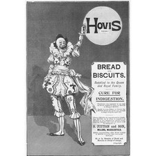 Hovis bread biscuits for sale  GLASGOW
