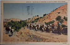 Postcard rounding hereford for sale  La Follette
