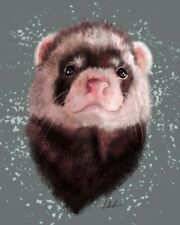 Ferret personalised pet for sale  CARNOUSTIE