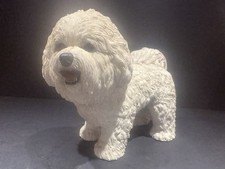 Bichon frise dog d'occasion  Expédié en Belgium