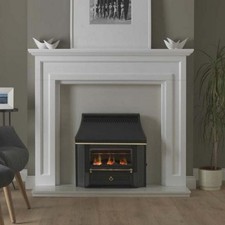 Valor black beauty for sale  ASHINGTON