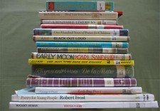 Children big poetry for sale  Swartz Creek