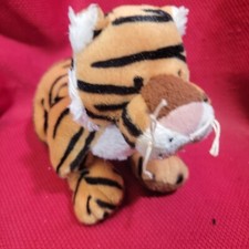 Bengal tiger kitten for sale  Round Rock
