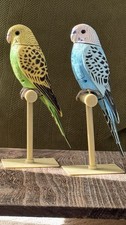 Breezy singer birds for sale  Ashburn