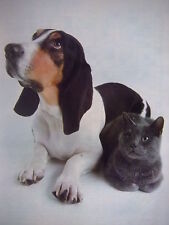 Photo presse chien d'occasion  Compiègne