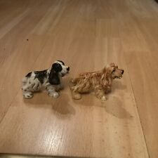 Cocker spaniel salt for sale  MEXBOROUGH