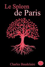 Spleen paris petits d'occasion  France