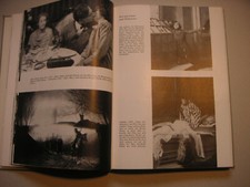 Lebendige leinwand buch gebraucht kaufen  Lütjenburg
