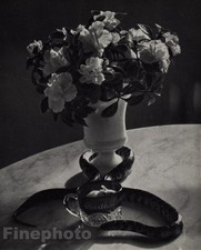1960/72 Vintage ANDRE KERTESZ Flores Vaso Cobra Mouse Cup Mesa Arte Foto Arte 11x14 comprar usado  Enviando para Brazil
