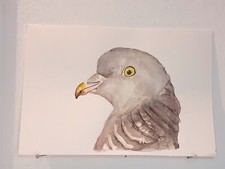Pigeon ramier original d'occasion  Expédié en Belgium