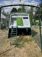 Omlet eglu cube for sale  WOLVERHAMPTON