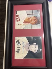 Redsox legends yaz for sale  Katy