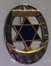 Insigne colo 1er d'occasion  Saint-Jean-de-Braye