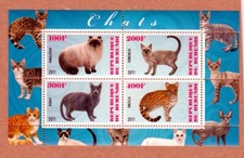 Cat Himalayan Korat Oncilla Tonkinese Chat, Katze, Gato MNH Minisheet de 4 [W03] comprar usado  Enviando para Brazil