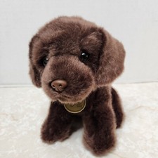 Chocolate lab puppy for sale  Hope