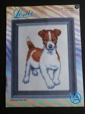 Lesur jack russell for sale  YORK
