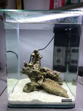 Aquarium dennerle nano gebraucht kaufen  Kalefeld