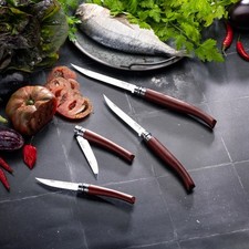 Couteau opinel effilé d'occasion  Portets