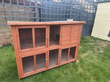 Pets home bluebell for sale  KETTERING
