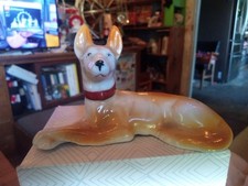 pharaoh hound for sale pharaoh hound for sale Plymouth