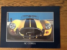 Cobra sales brochure for sale  ROYSTON