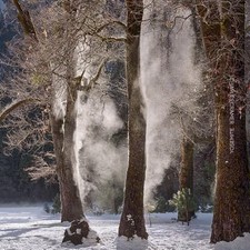 Yosemite charles cramer for sale  Sparks