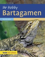 Bartagamen gebraucht kaufen  Berlin