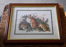Wood framed mounted for sale  WALSALL