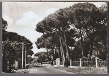 84858 cartolina fregene usato  Trecastelli