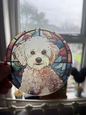 Maltese bichon poodle for sale  YORK