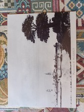Cartolina antica bozzolo usato  Cavriago