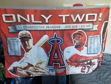 Vintage baseball banner for sale  Anza