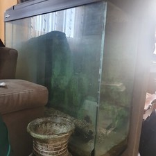 Acquario usato usato  Latina