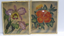 Vintage lot hibiscus for sale  Liberty