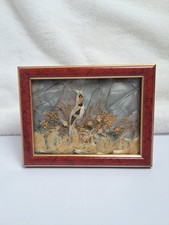 Vintage framed feather for sale  Suncook