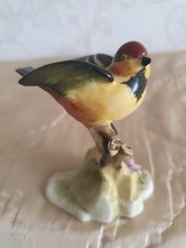 Beautiful royal adderley for sale  BOLTON