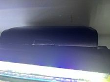 Gallon fish tank for sale  Falmouth
