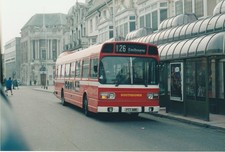 Colour photo southdown for sale  TAUNTON