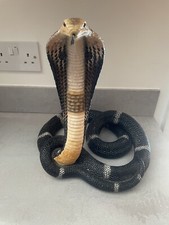 Wildlife king cobra for sale  BUXTON